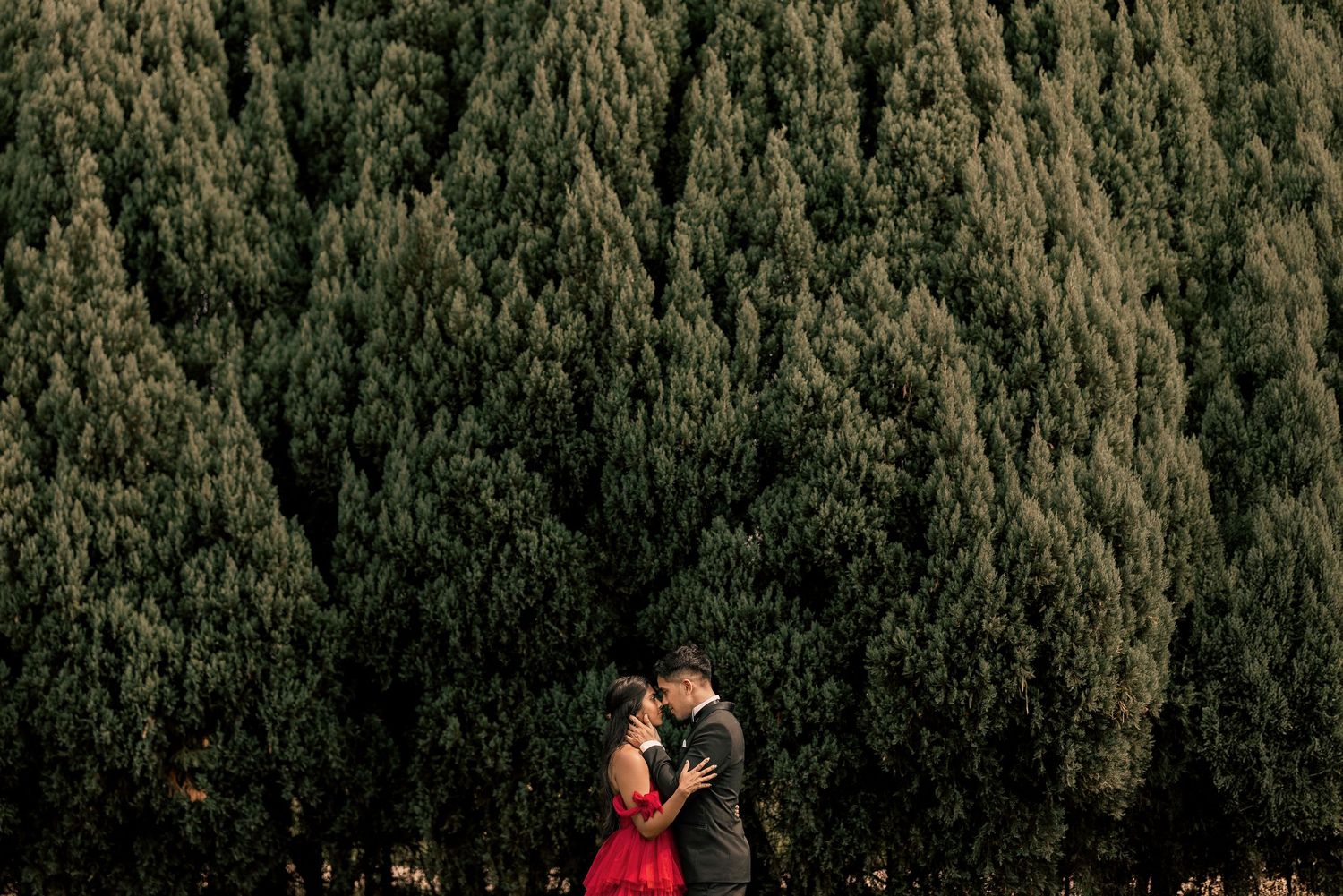 Couple embracing romantically in front of lush green pine trees, woman in red dress, man in dark suit.