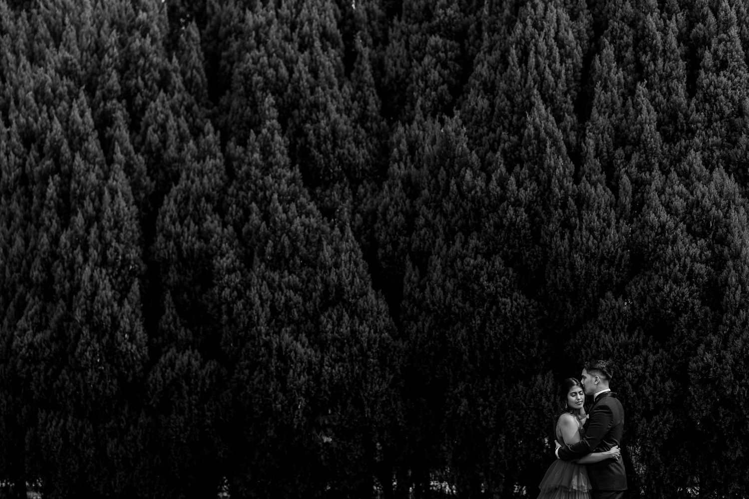 Black and white photo of a couple embracing in front of a dense forest of tall evergreen trees.