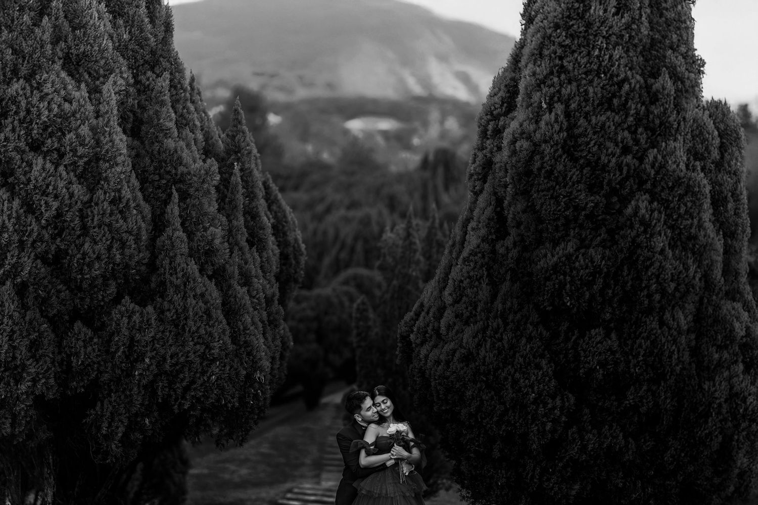 Black and white photo of a couple embracing romantically between tall cypress trees with mountains in the background.