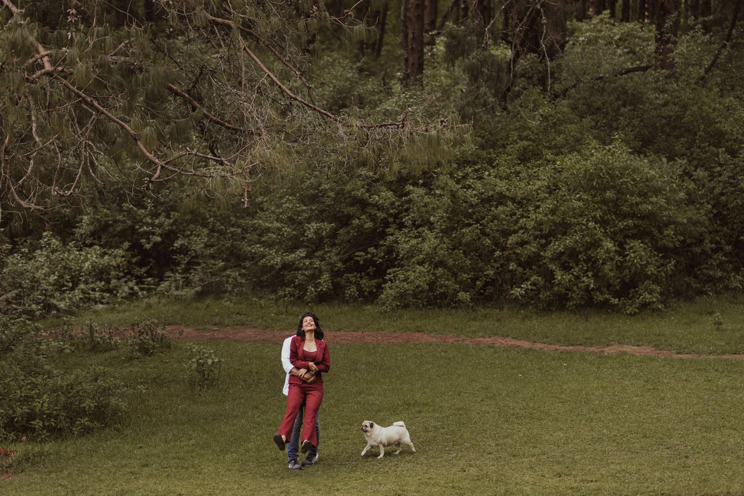 Person walking a white dog on a grassy path through a wooded area on a sunny day.