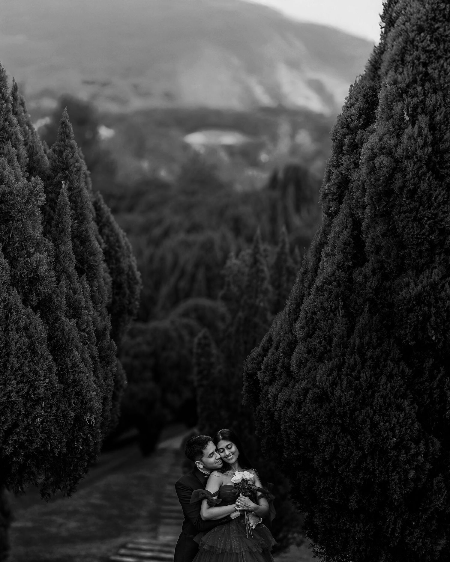 Black and white photo of a couple embracing between tall cypress trees with misty mountains in the background.