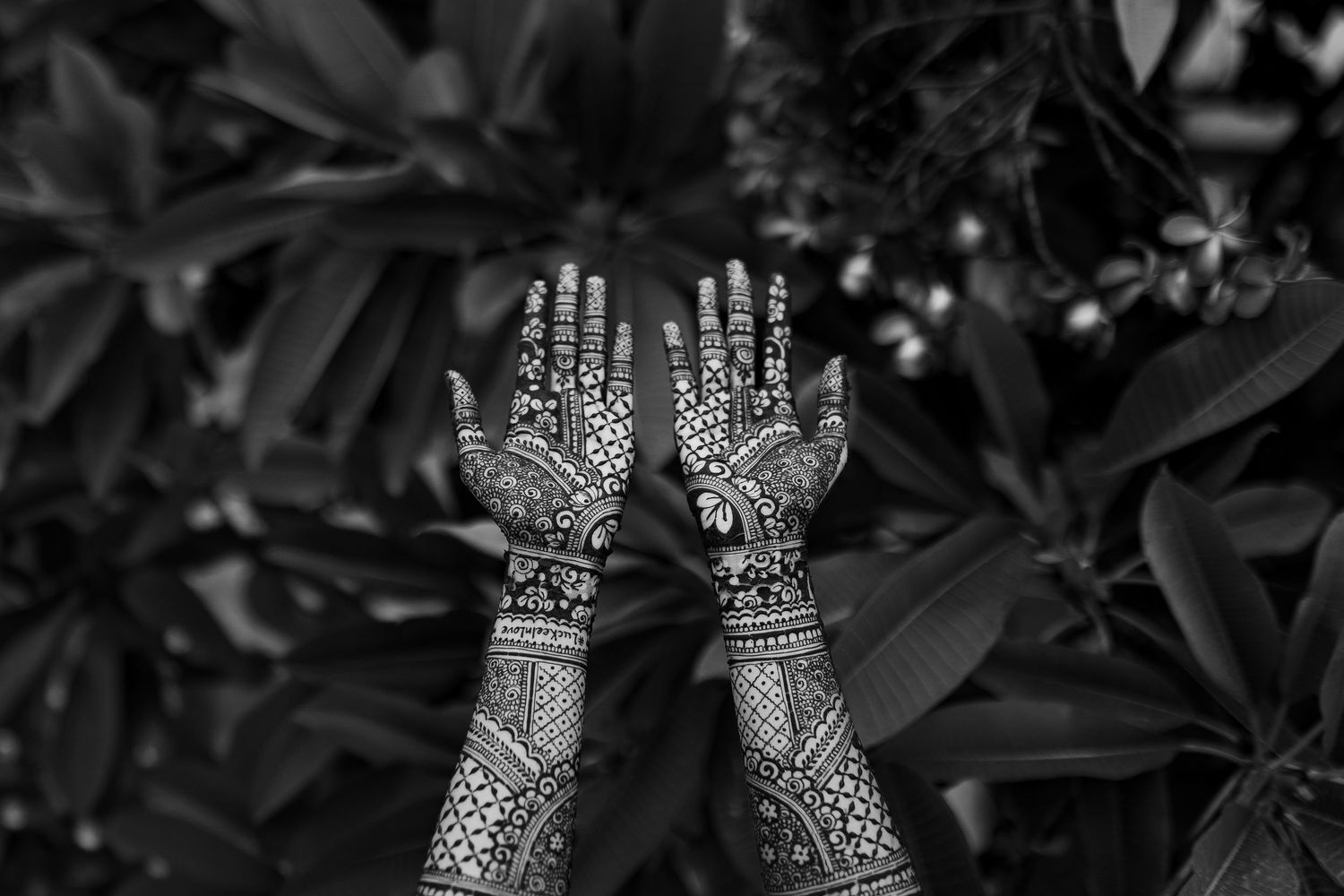 Hands adorned with intricate henna designs displayed against dark foliage in a garden setting.