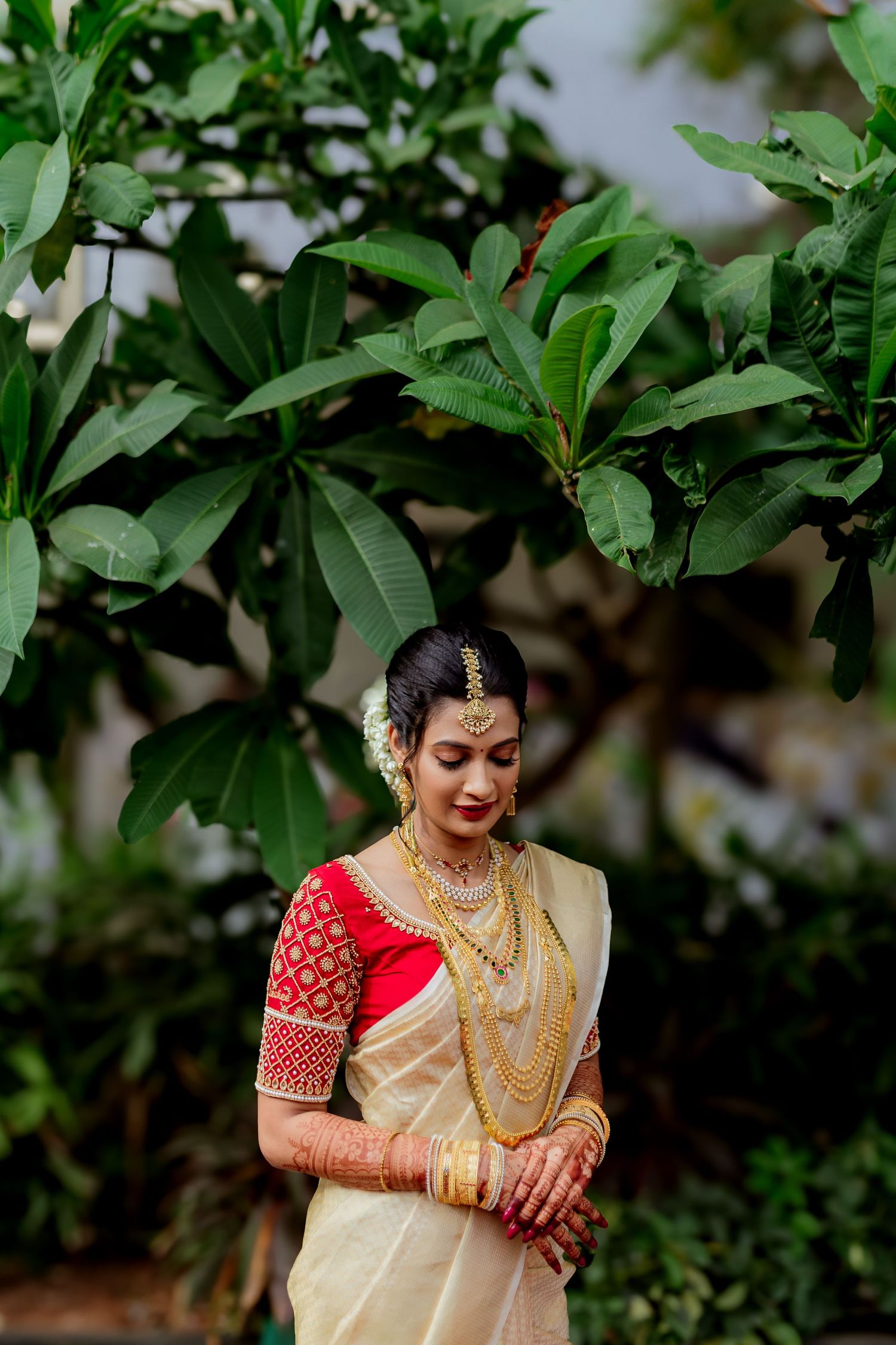 Traditional Indian bride in cream silk saree with red blouse and gold jewelry poses against lush green foliage.