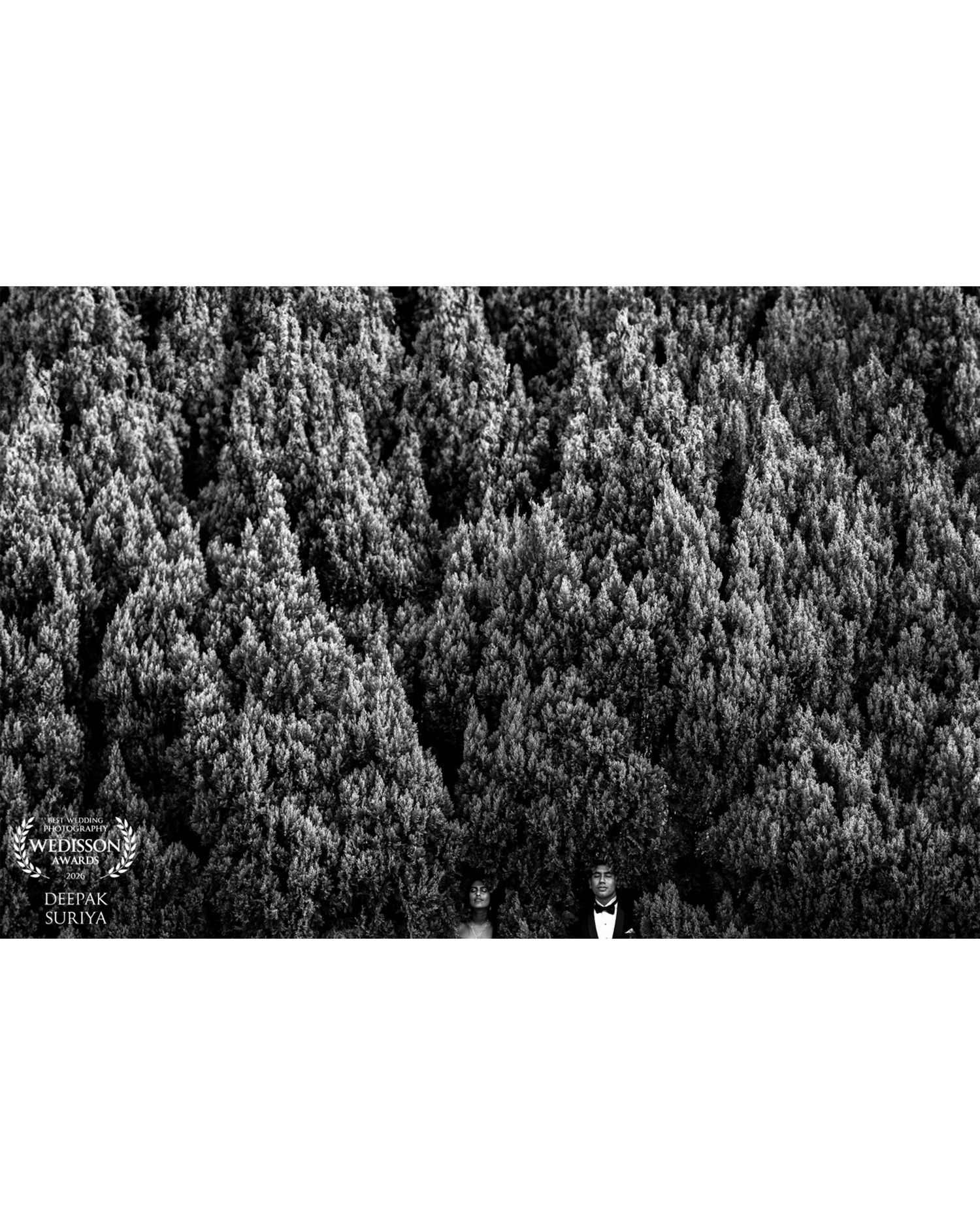 Black and white aerial photo of a couple standing among dense forest trees, captured by Deepak Surya.