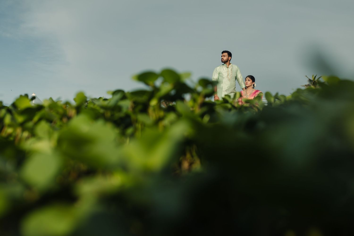 Person peeking out from lush green foliage against soft blue sky.