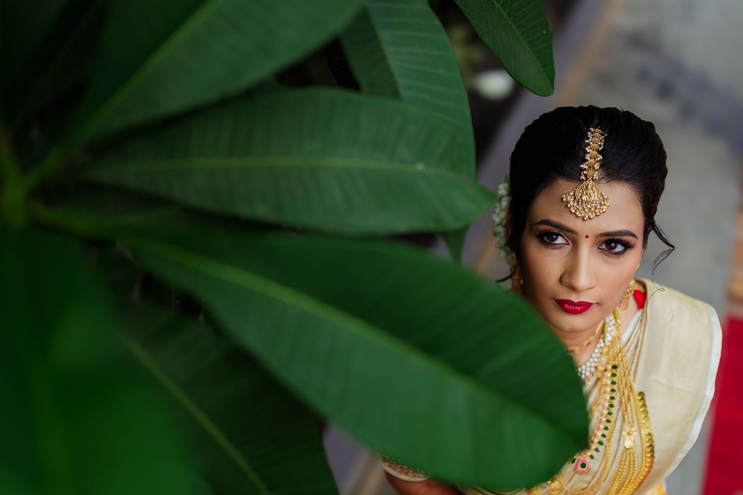 A traditional Indian bride adorned in gold jewelry and red lipstick poses against a backdrop of green leaves.