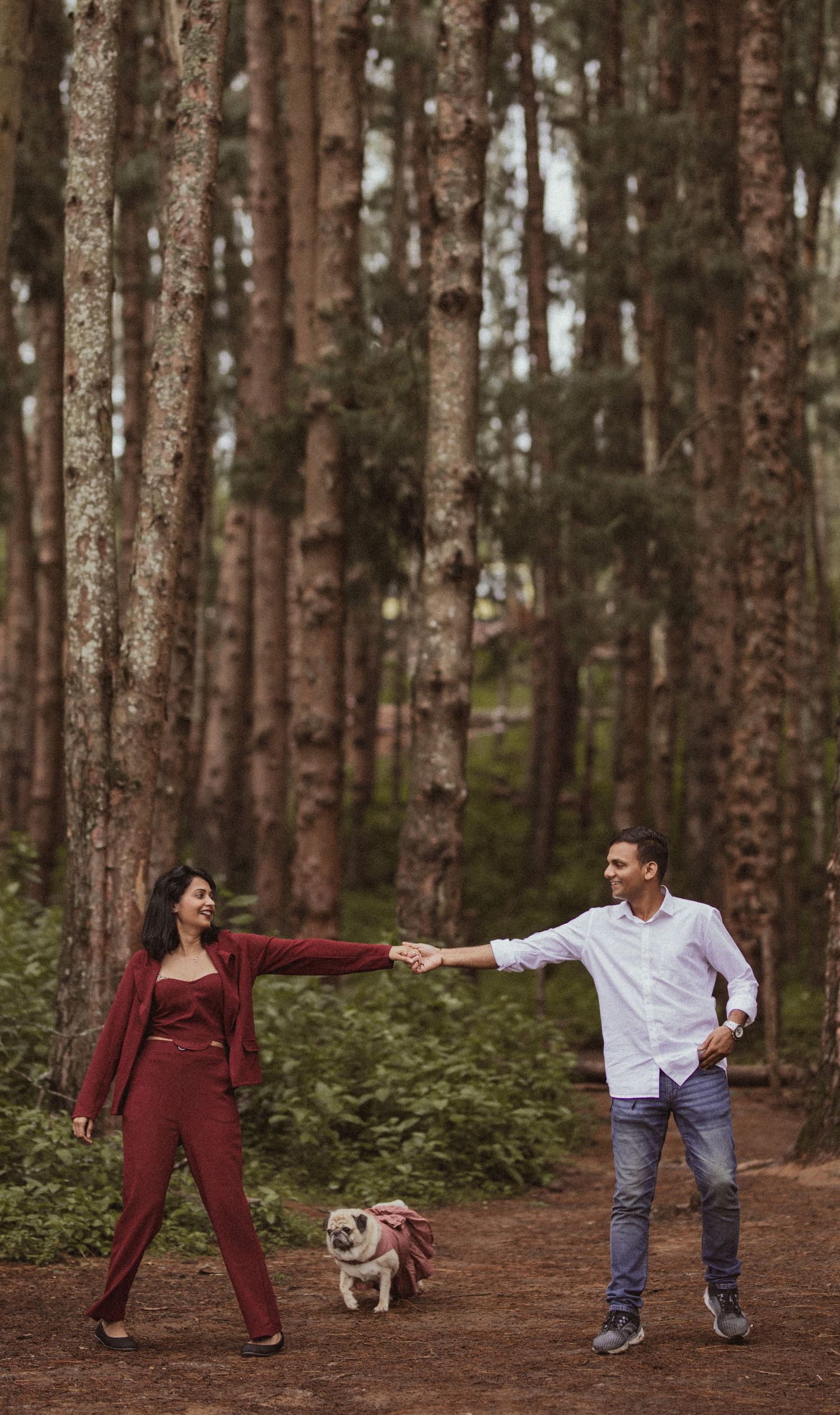 A couple walks their small dog through a pine forest while holding hands and playfully interacting.