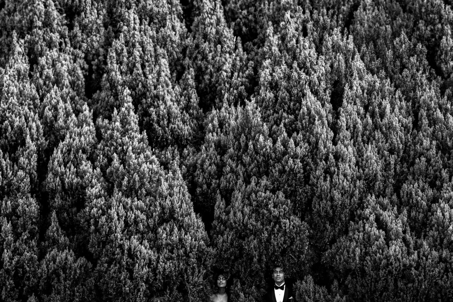 Aerial black and white view of dense forest with two small white structures nestled among the trees.