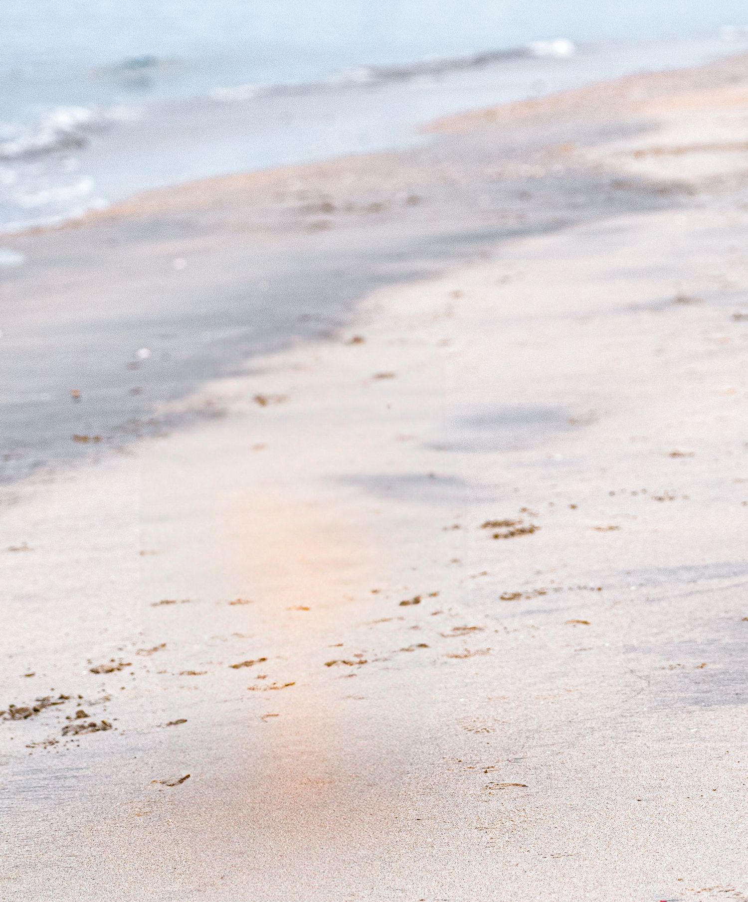 Soft sunlight reflects on wet sandy beach during sunset creating a peaceful coastal scene.