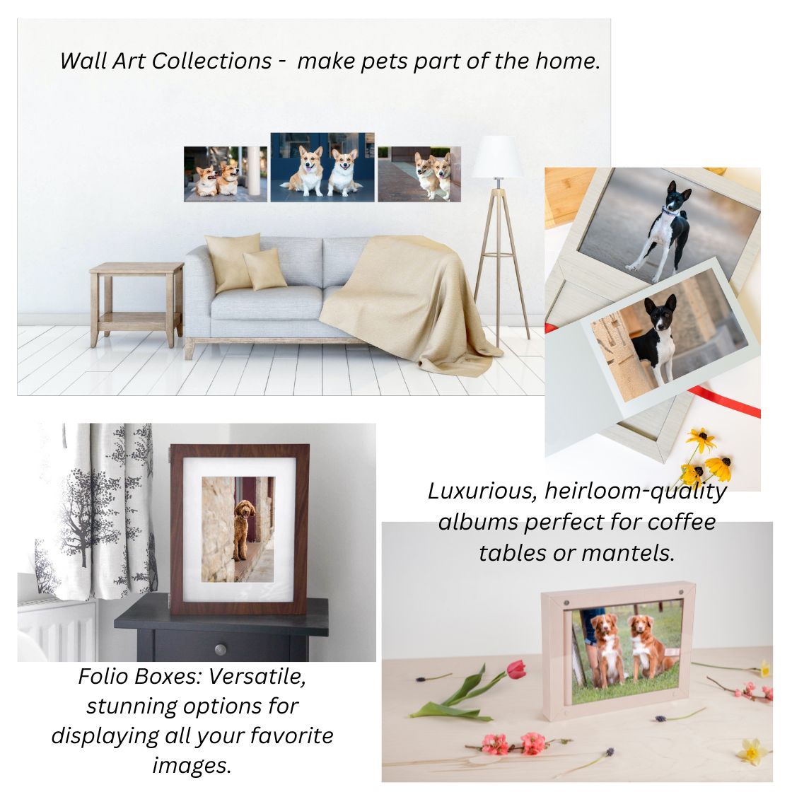 Living room wall art display featuring pet photos and album collections.