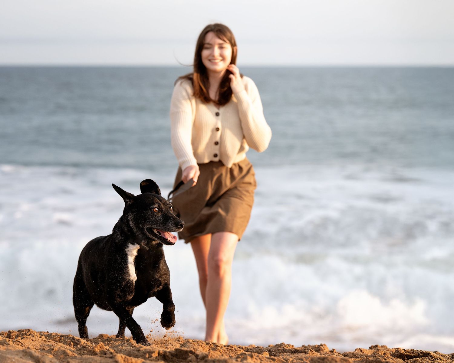 A black French Bulldog plays and runs along a sandy beach with waves crashing in the background.