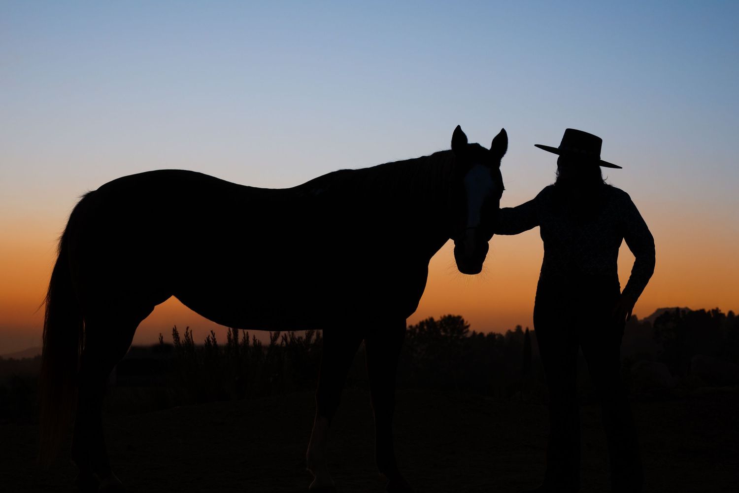 Silhouettes of wild horses standing against a vibrant sunset sky creating a dramatic panoramic view.