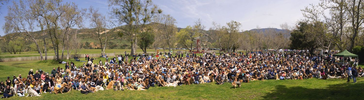 Large crowd gathered on grassy hillside for outdoor event.