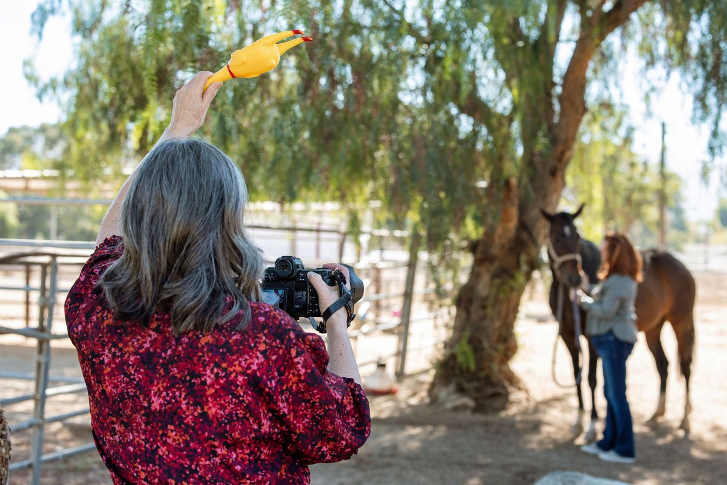 Woman photographing two horses under a tree at a ranch, wearing a red floral shirt and yellow gloves.