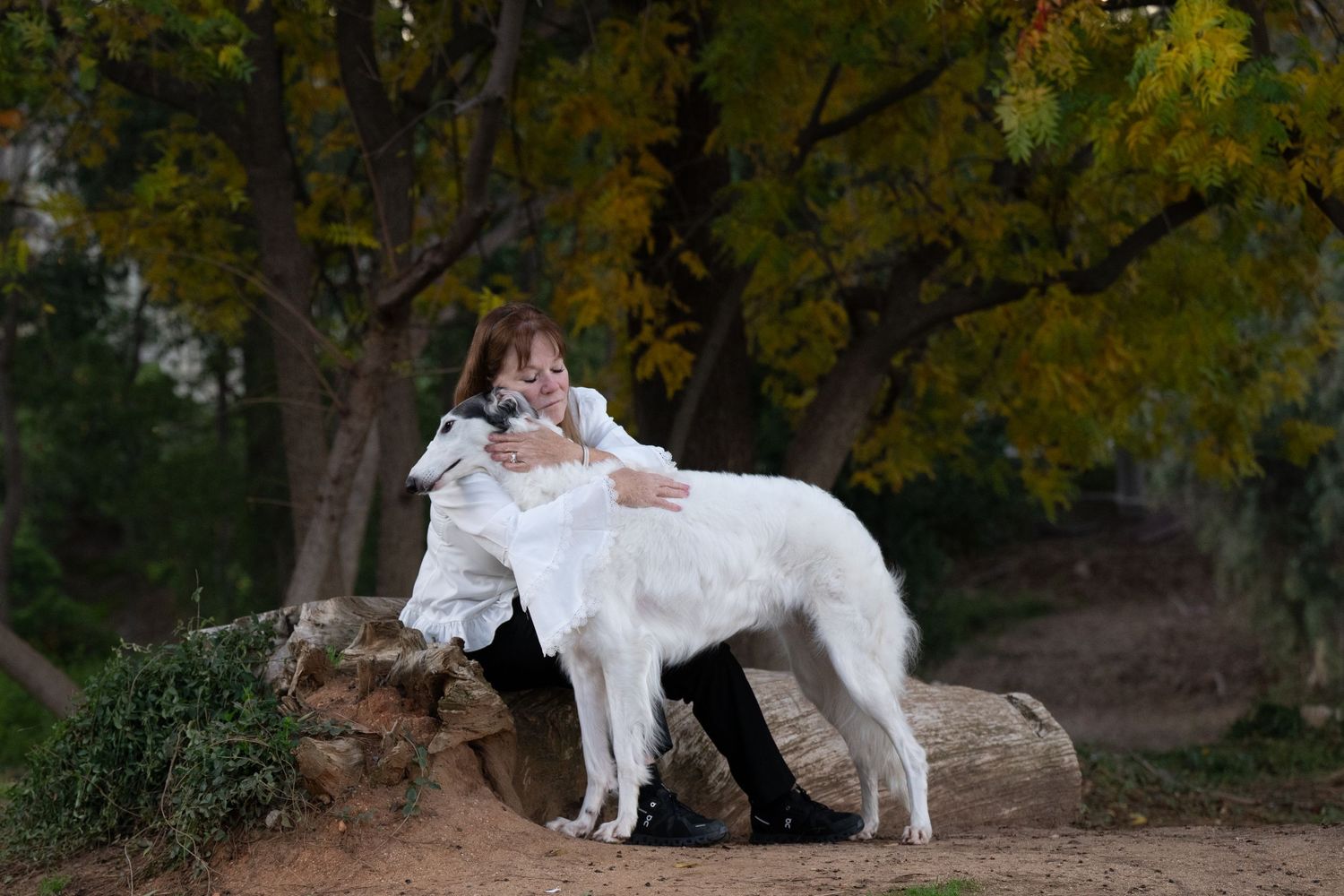 White dog stands gracefully in an autumn forest setting with golden leaves and natural lighting.