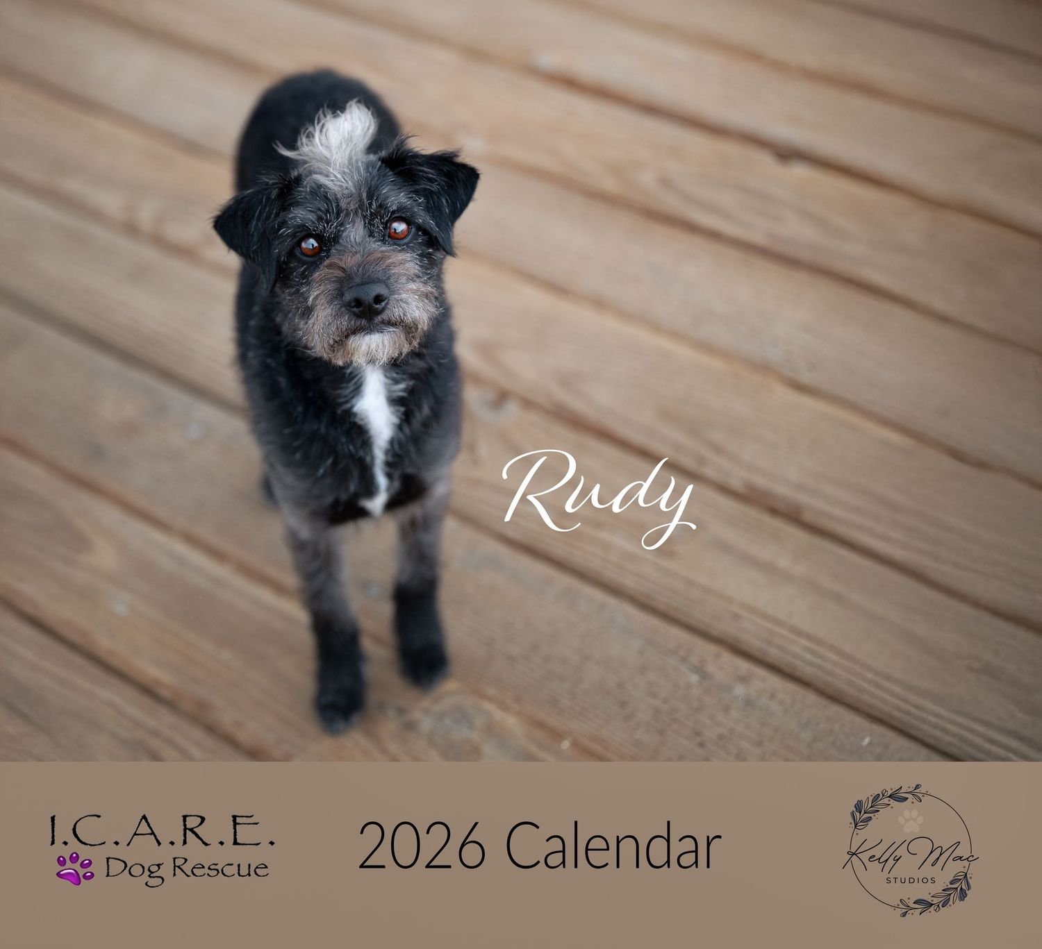A small black and white scruffy terrier mix dog stands on a wooden deck, featured in a 2026 I.C.A.R.E. rescue calendar.