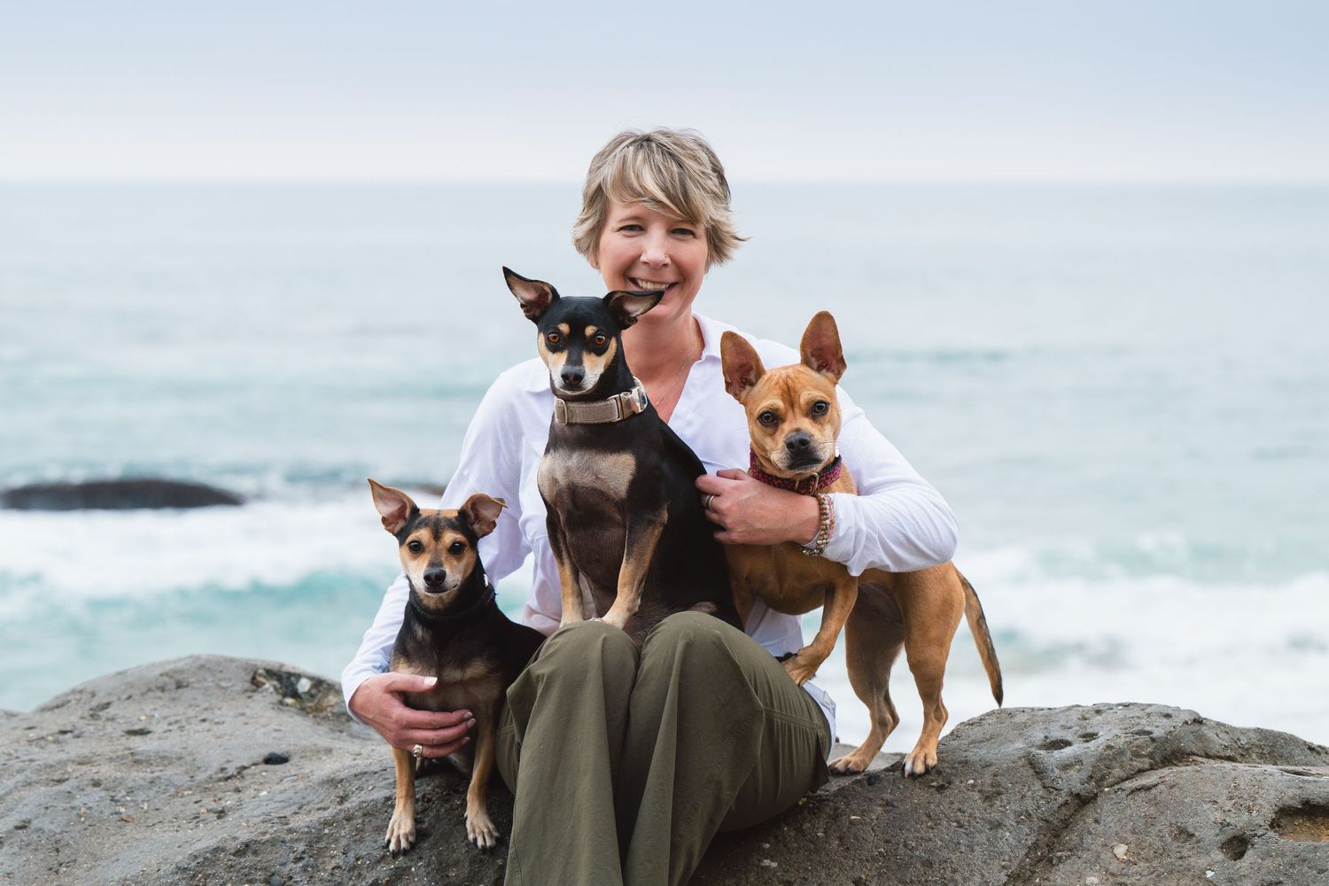 Three small dogs posing with their owner on coastal rocks overlooking the ocean.