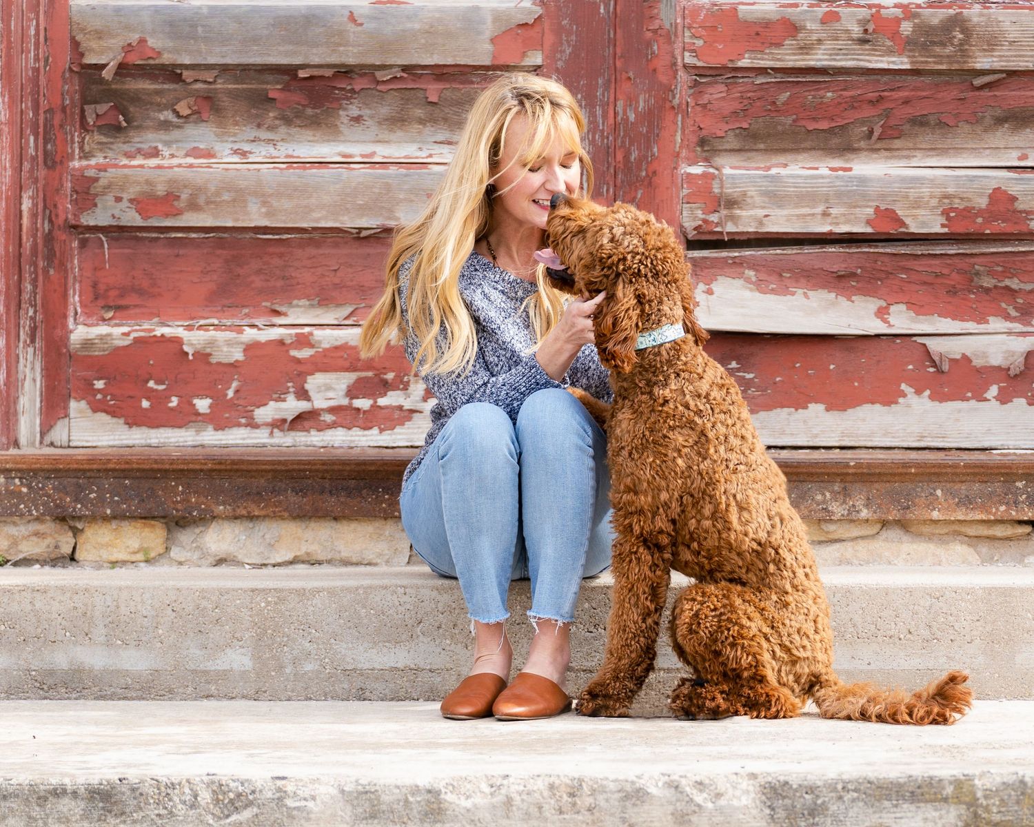 An Irish Doodle dog sharing tender moments with his owner on rustic red wooden steps.