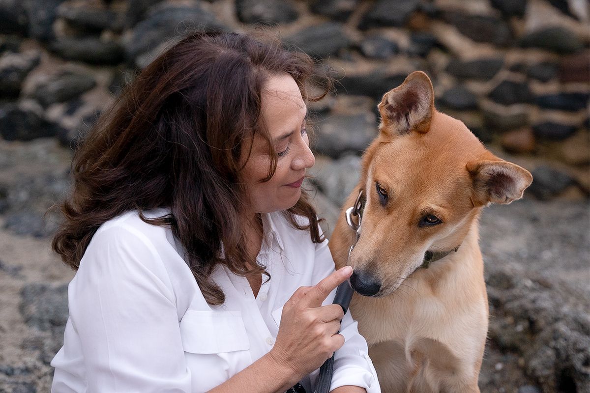 A brown mixed breed dog shares tender moments with someone in a series of close-up shots.