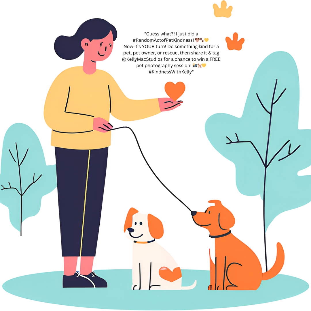 Illustrated infographic showing people walking and interacting with dogs in a park setting.