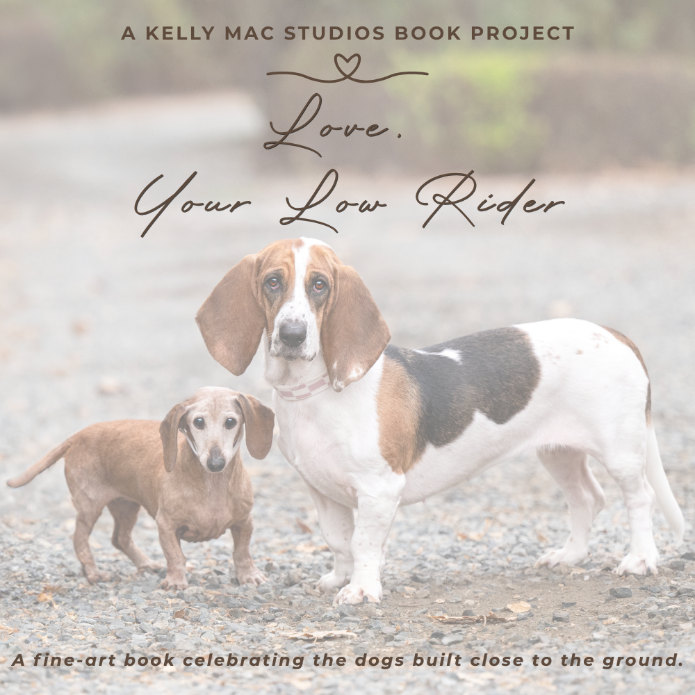 Book cover for Love Your Low Rider, a fine-art book celebrating short dogs, featuring a Basset Hound and Dachshund.