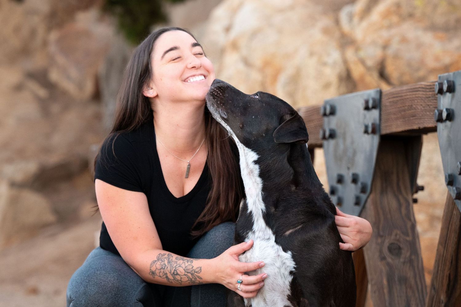 A black and white dog gives affectionate kisses while sitting on outdoor steps.