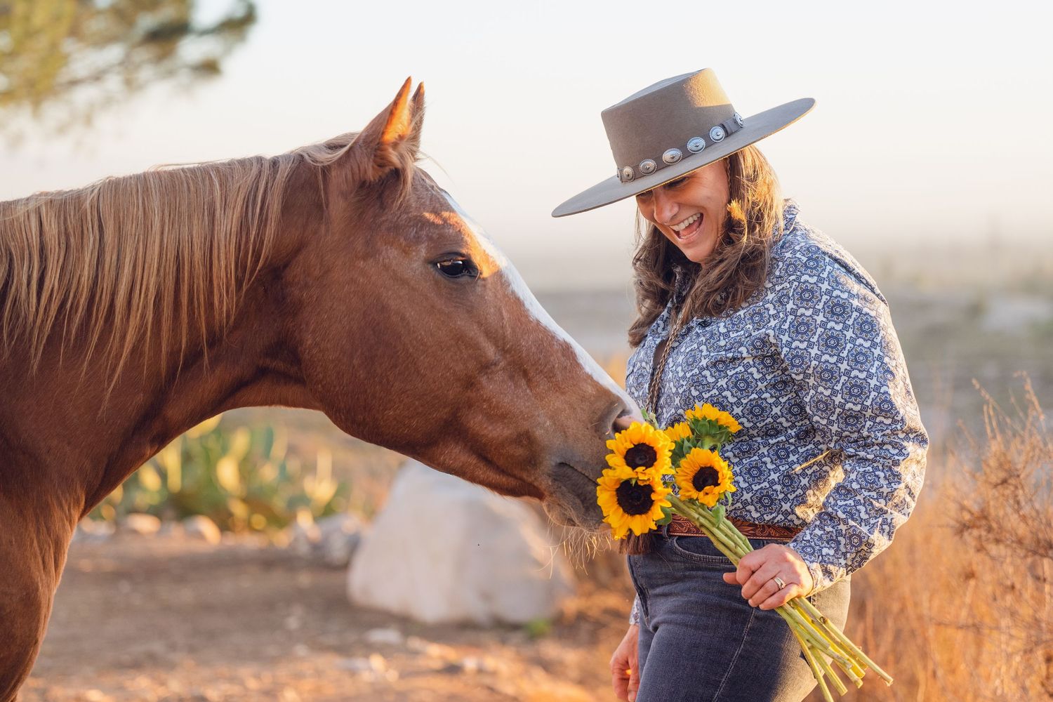 Horse nuzzles sunflowers held by a woman wearing a blue top and hat in golden sunset light.