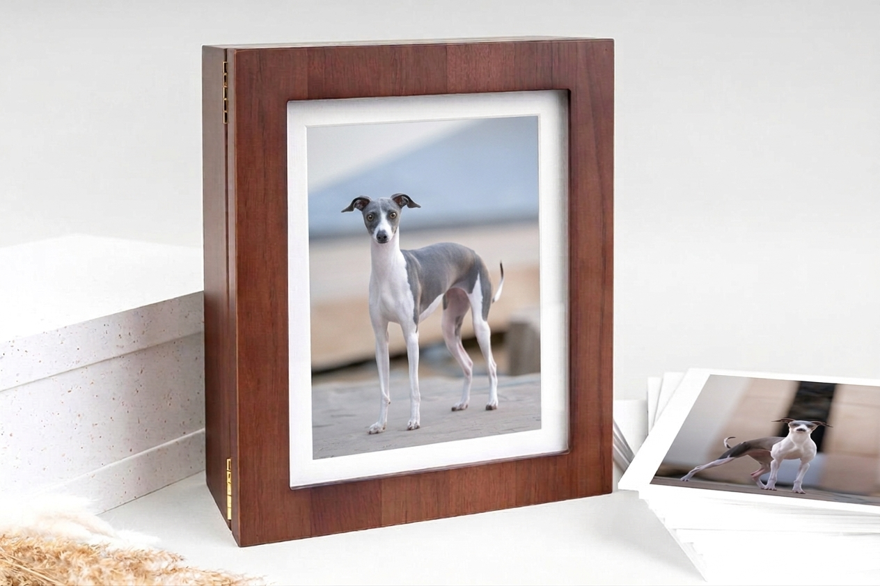 A framed photograph of a slender whippet dog standing in profile, displayed in a wooden brown picture frame.