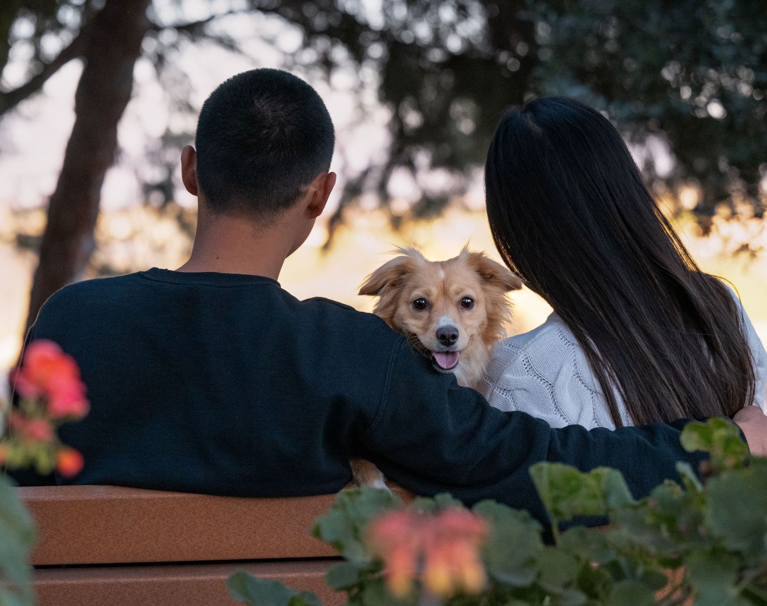 Man and woman with their dog sitting on a bench enjoying the sunset.