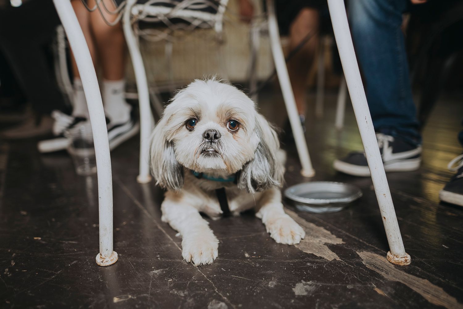 Wedding highlight - authentic, connected couple photography