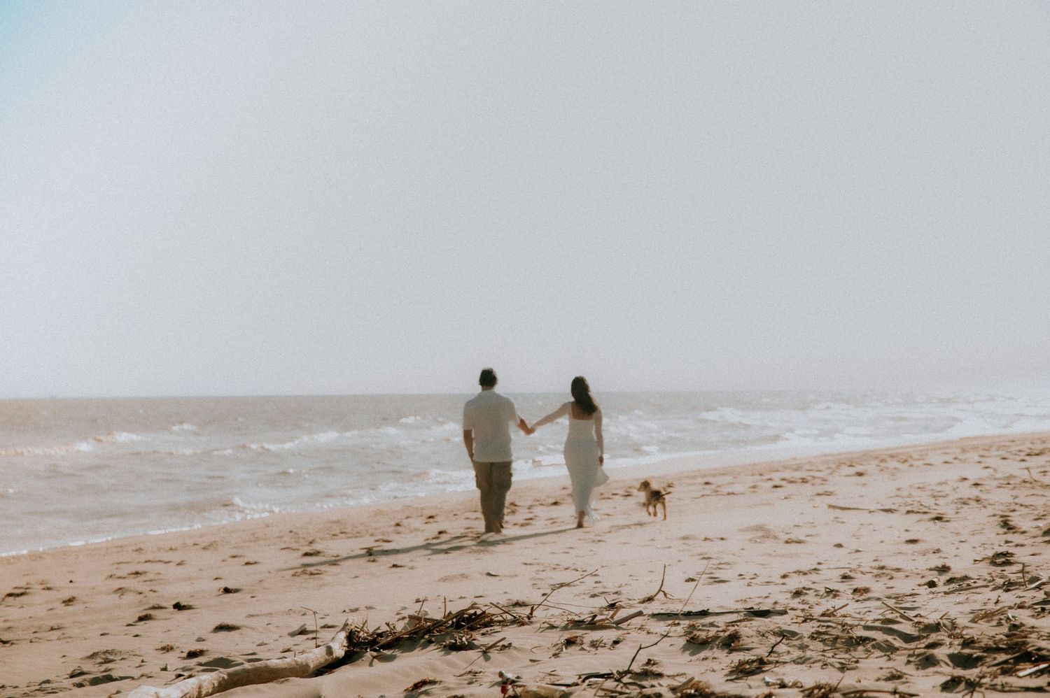 A couple walks their dog along a misty beach shoreline on an overcast day.