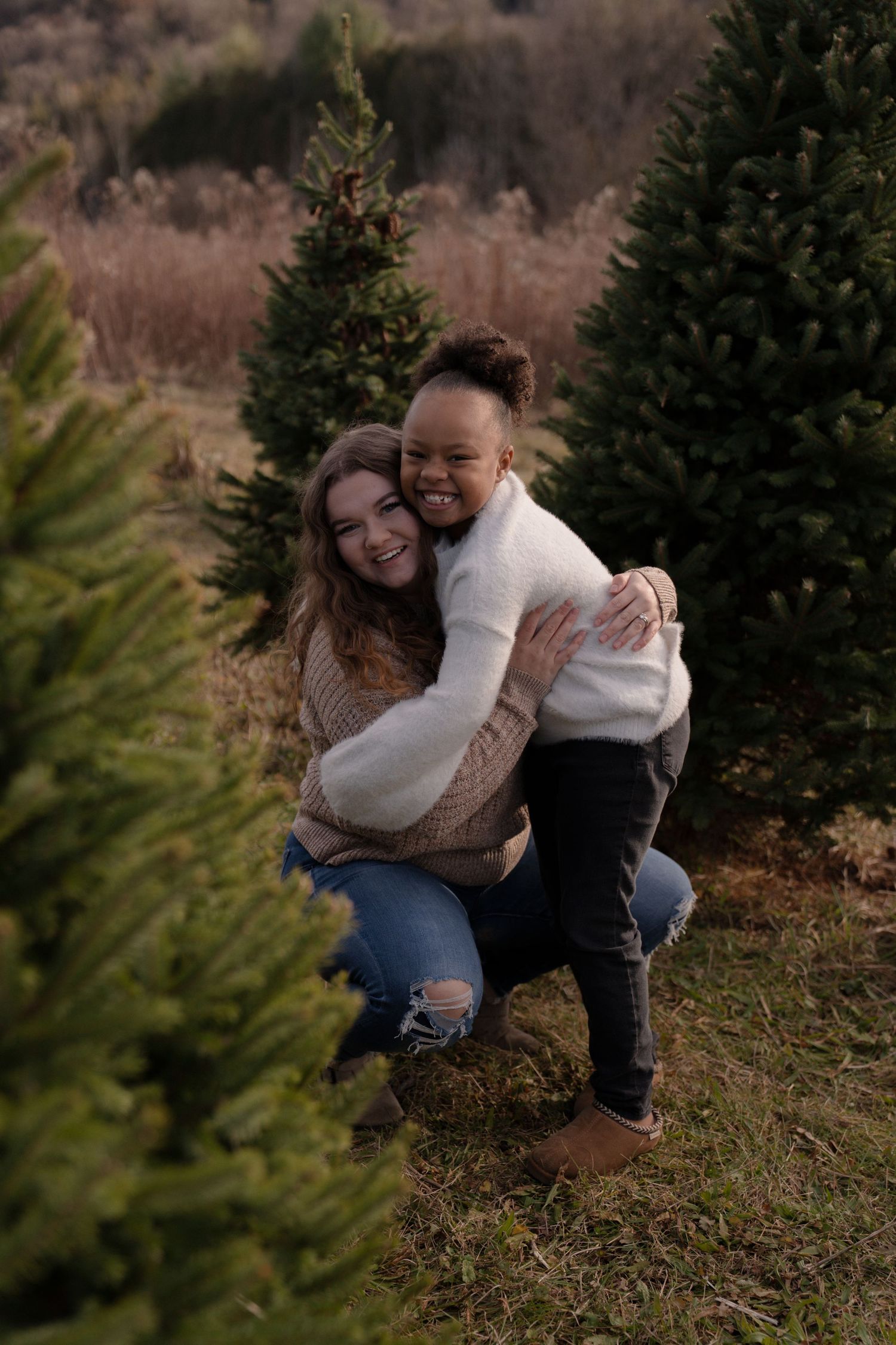 Christmas mini photography