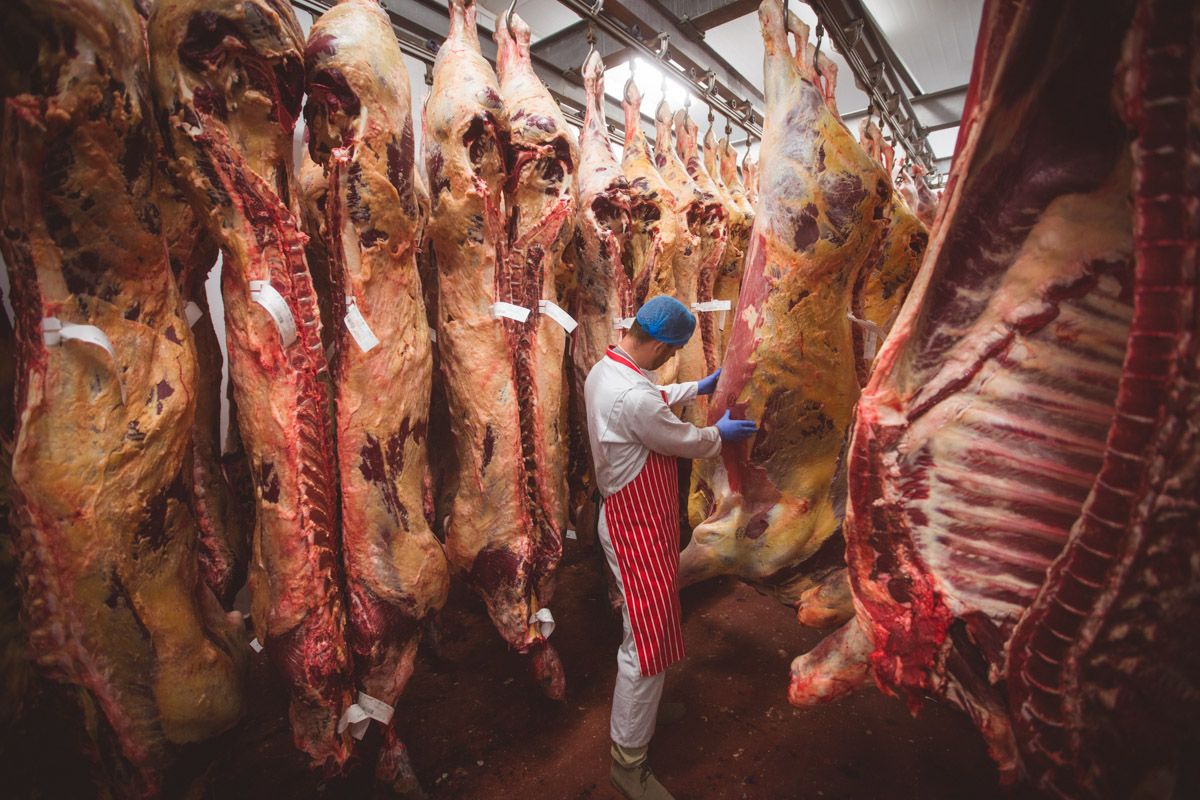 Professional meat processing operation in Cork facility.