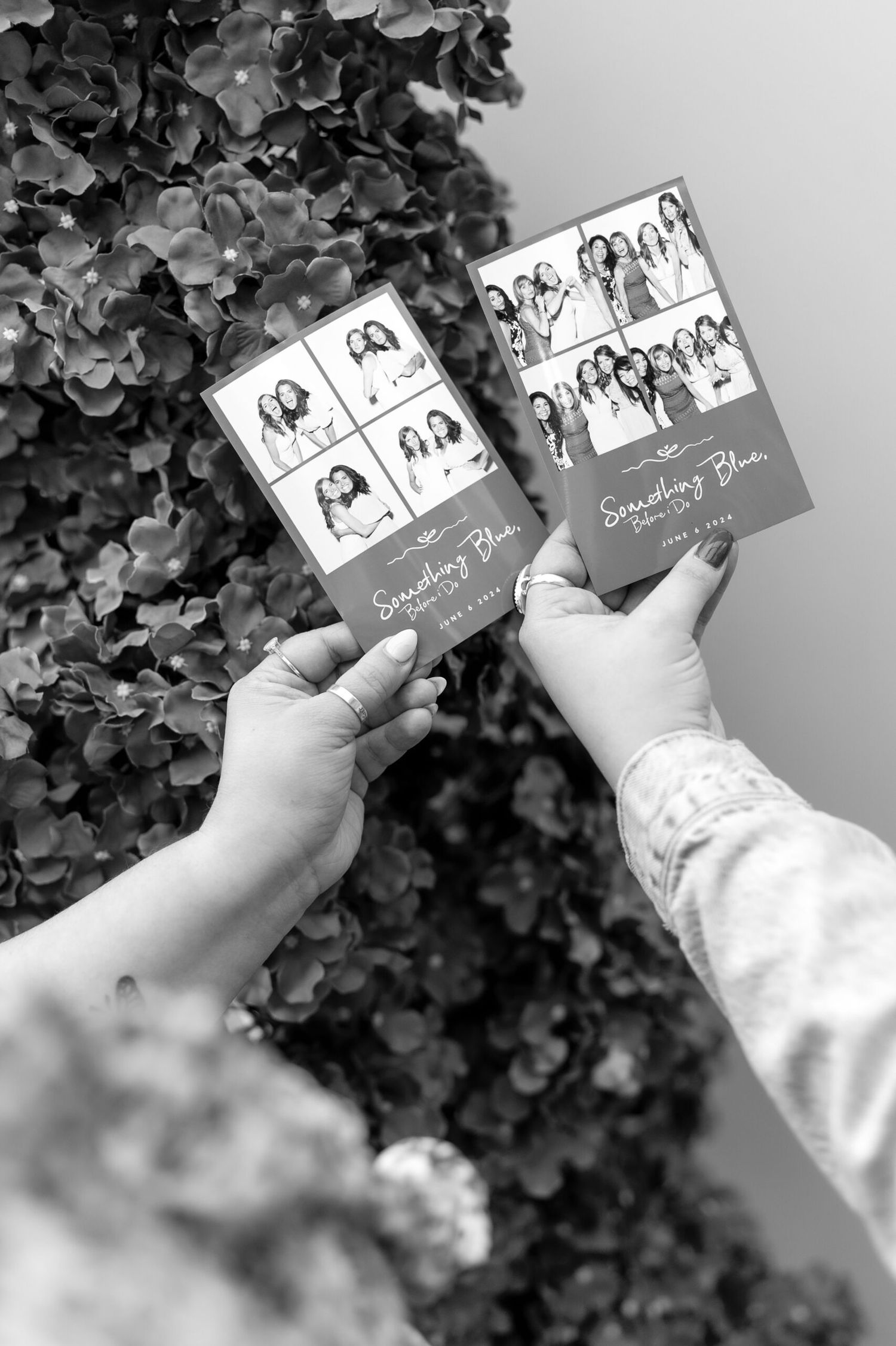 Four sequential photos show hands holding up business cards against a background of dark foliage.