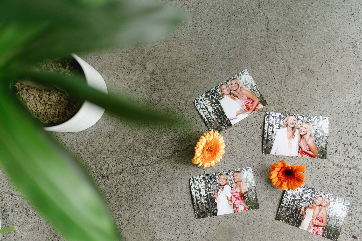 Minimalist flat lay of photo prints with green plants and flowers on concrete background.