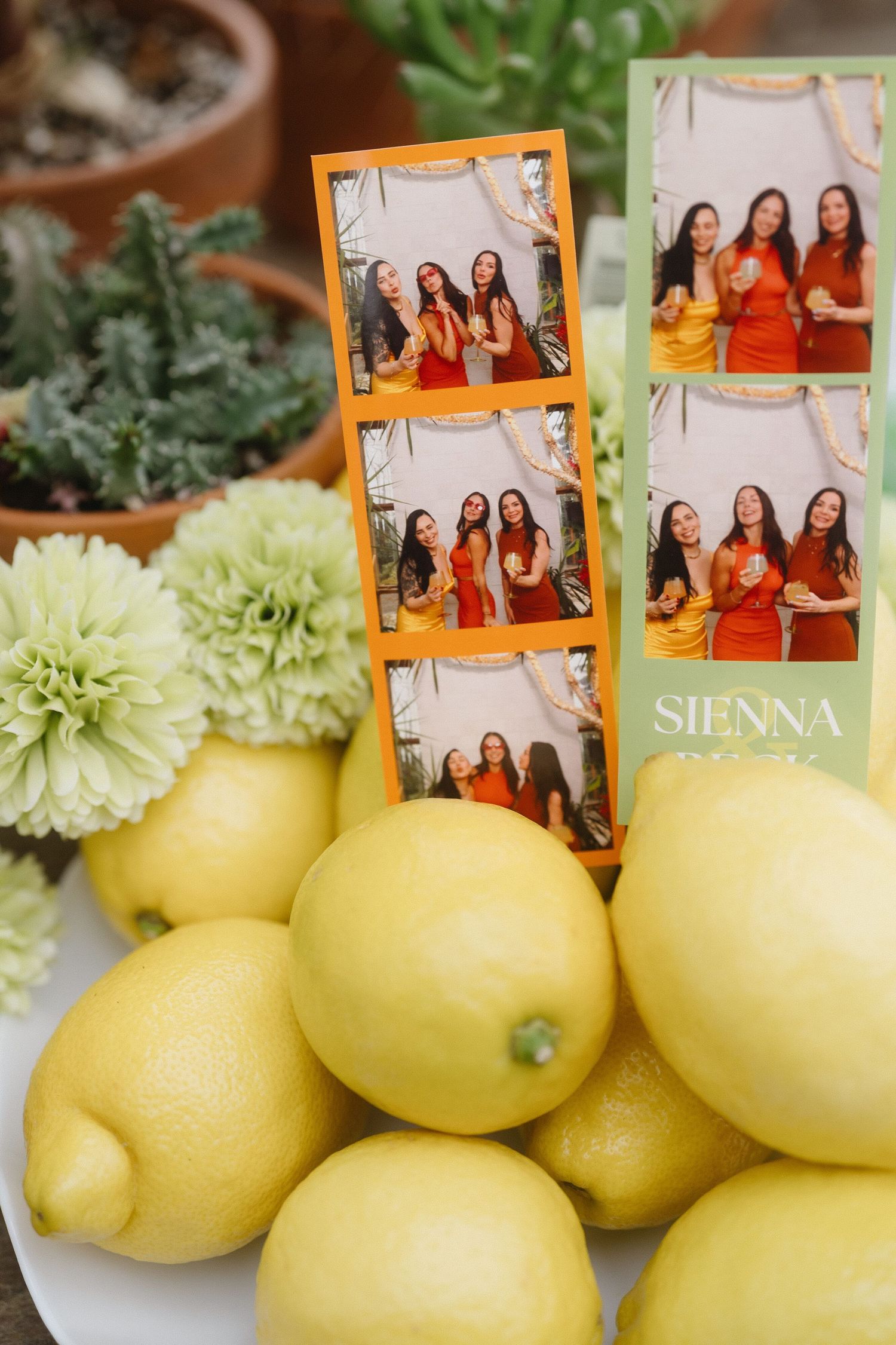 Fresh yellow lemons arranged with photo prints and green florals for product styling.