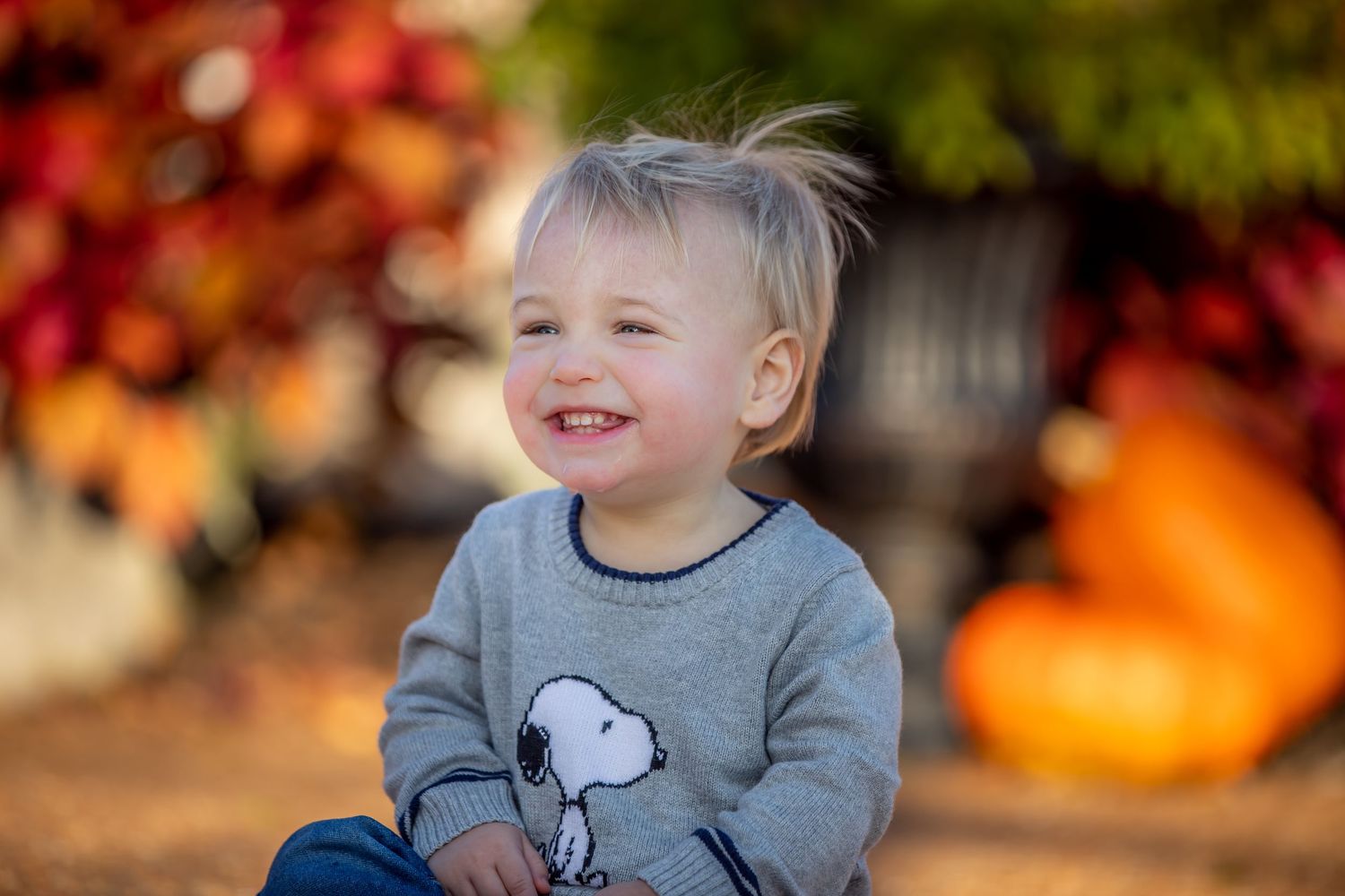 Family portrait photography in middle Tennessee with warm and vibrant.