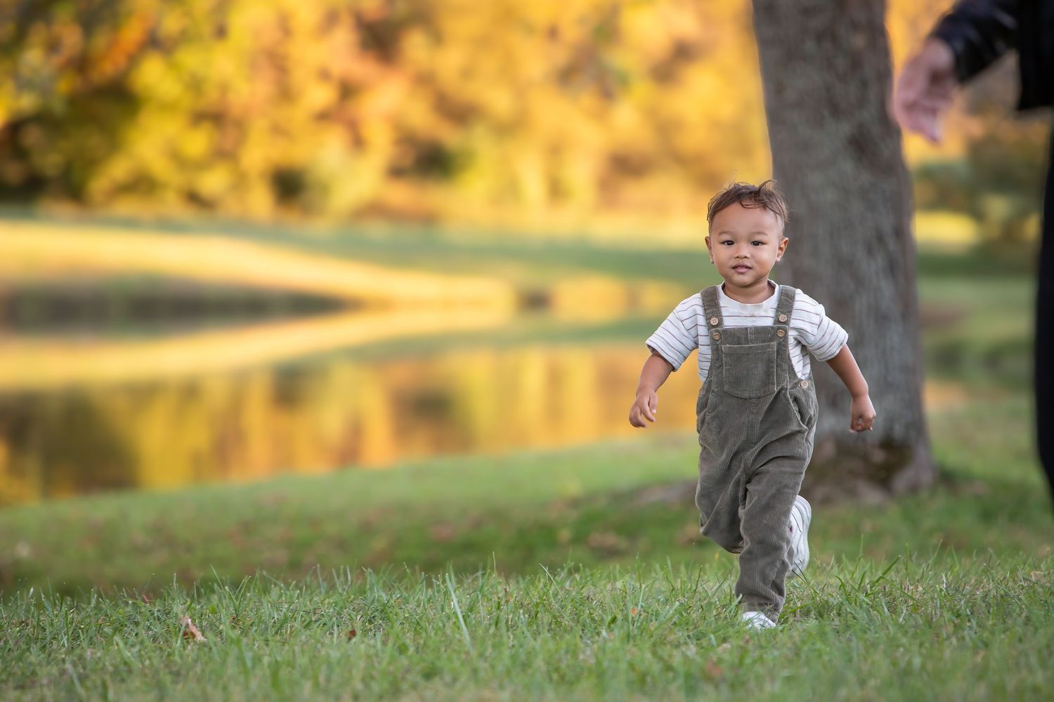 Family portrait photography in middle Tennessee with warm neutral tones.