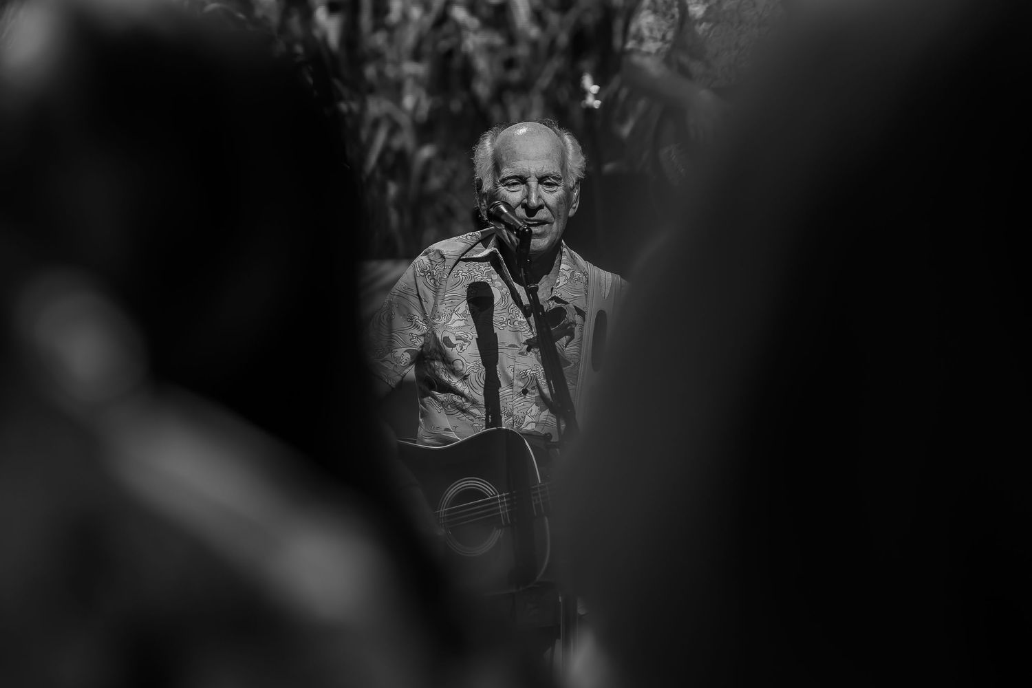 Luxury event photography for Nashville and surrounding areas. Jimmy Buffett concert.