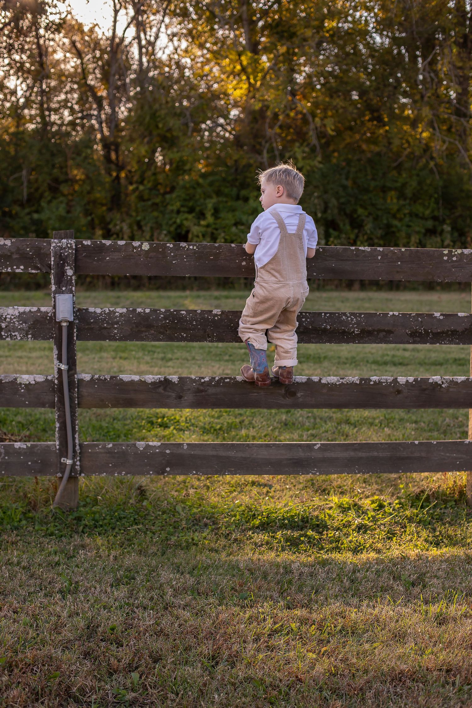 Family portrait photography in middle Tennessee with warm neutral tones.