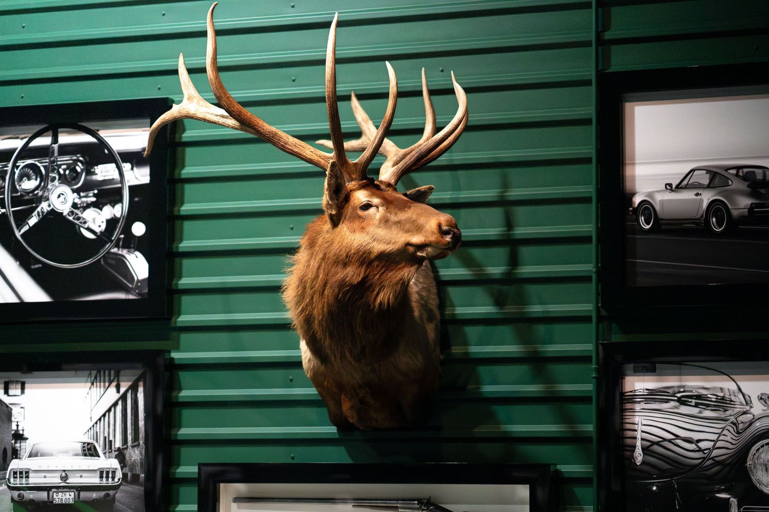 Vintage automotive memorabilia and mounted deer head displayed on green corrugated wall.