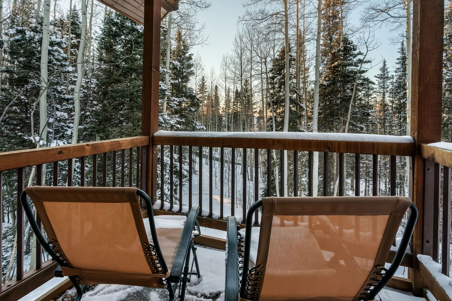 Snow-covered winter landscape with evergreen trees visible through panoramic windows of a luxury cabin.