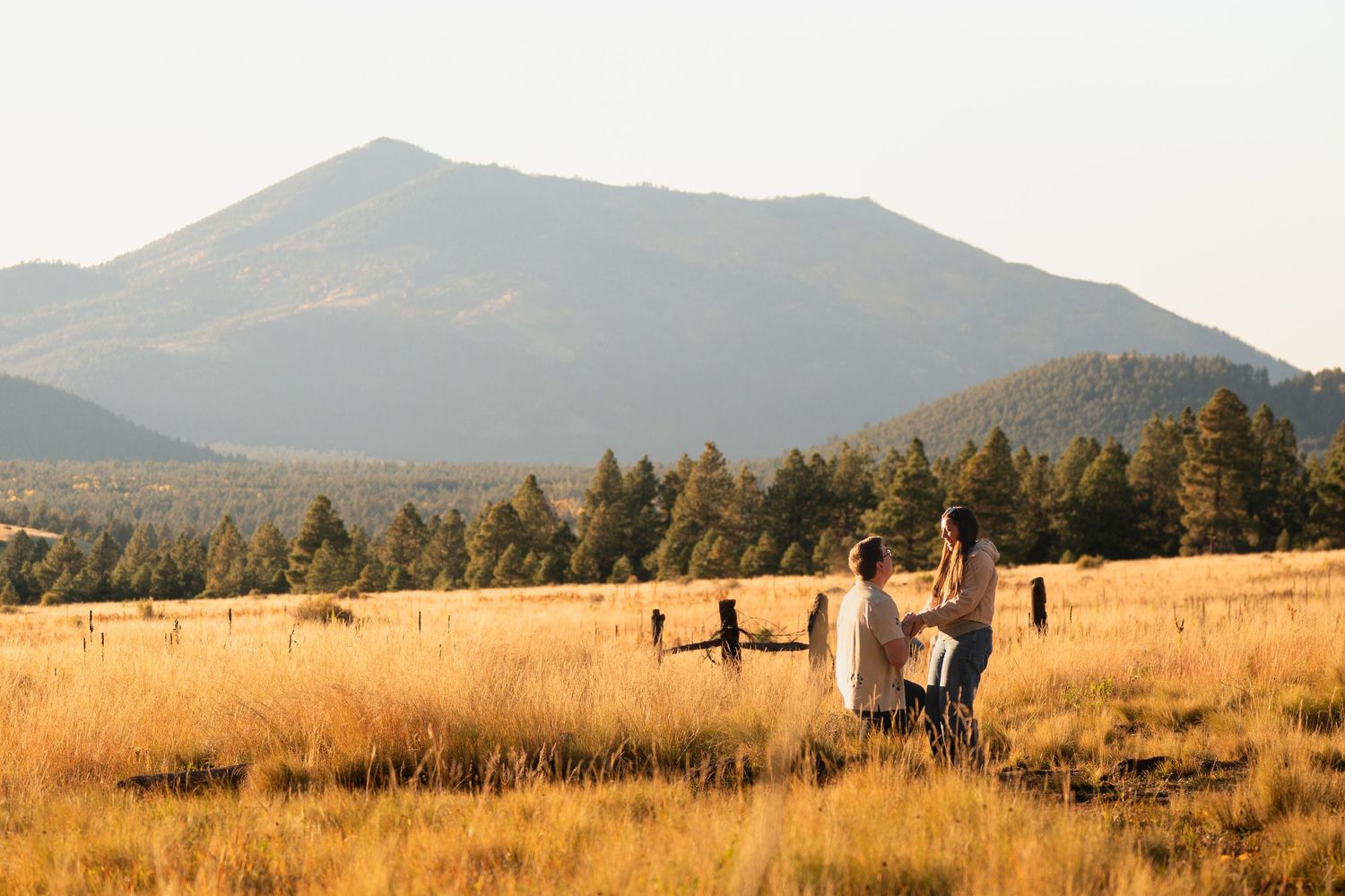 Two people stand together in a golden grassy meadow with pine forest and a large mountain rising beneath a soft, hazy sky.