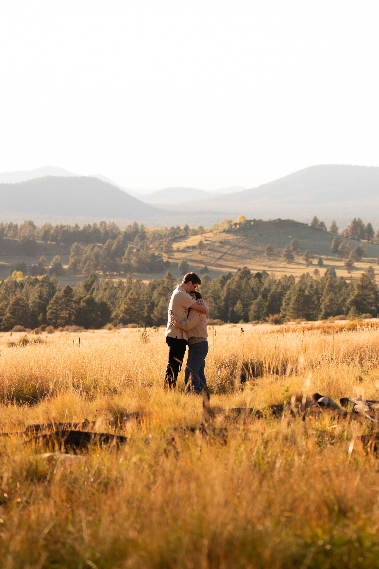 Couple embracing in a golden grassy meadow with pine forest and rolling mountains in the background at sunset.
