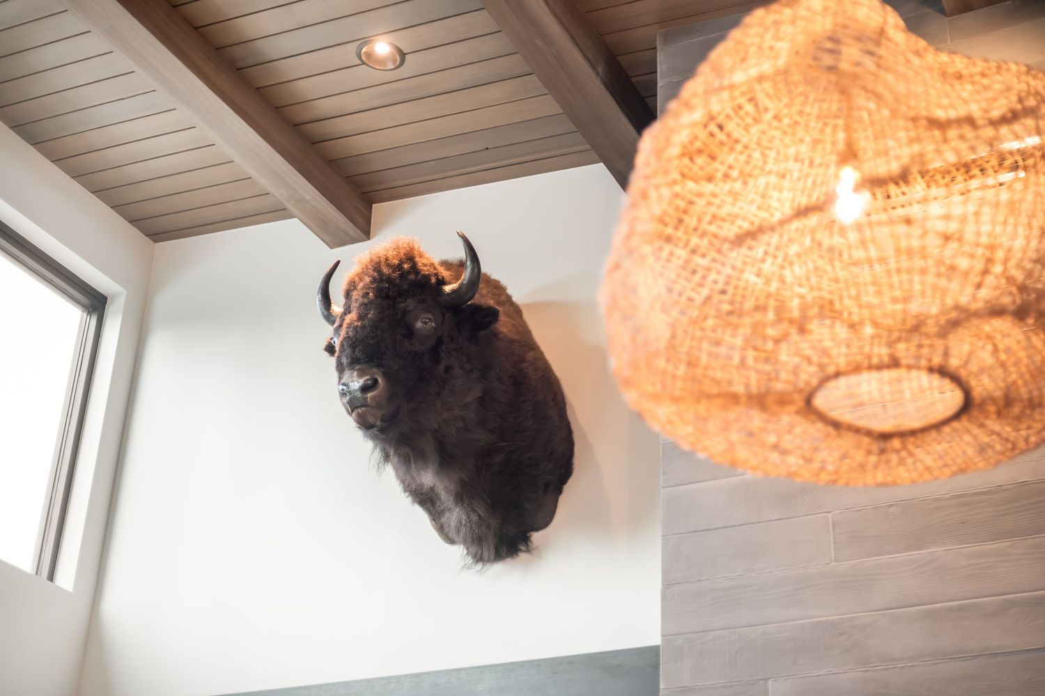 Contemporary living space with warm lighting featuring woven pendant lamps and natural textures.