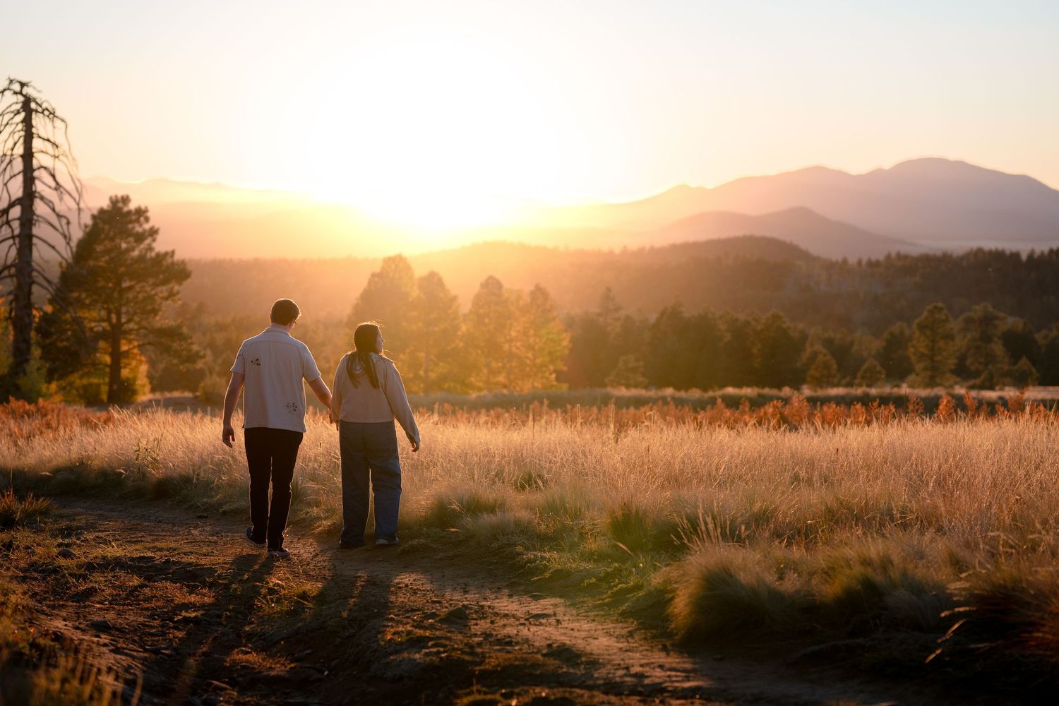Couple holding hands and walking through a sunlit meadow toward glowing mountains at golden hour.