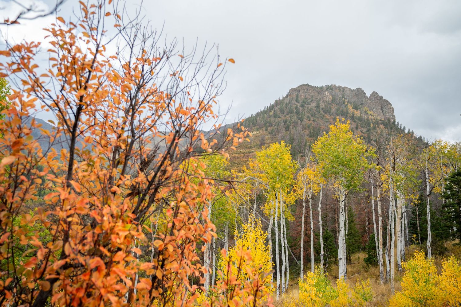 Scenic autumn landscape with colorful fall foliage and mountain peaks in the background during golden hour.