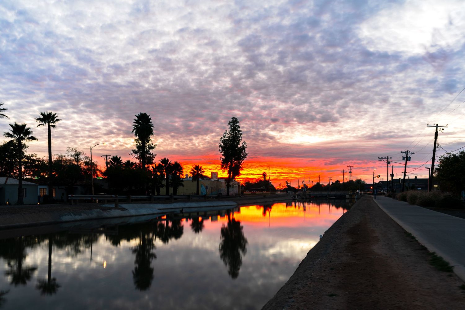Dramatic sunset silhouette of palm trees and power lines reflected in flood waters.