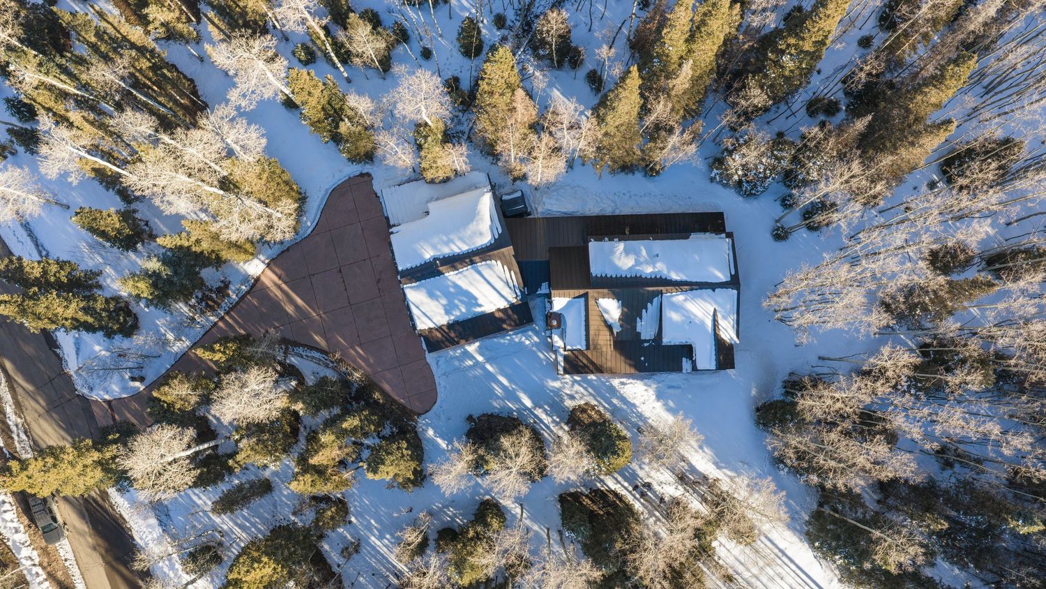 Aerial view of snowy pine forest with winter trails winding through dense evergreen trees in mountainous terrain.