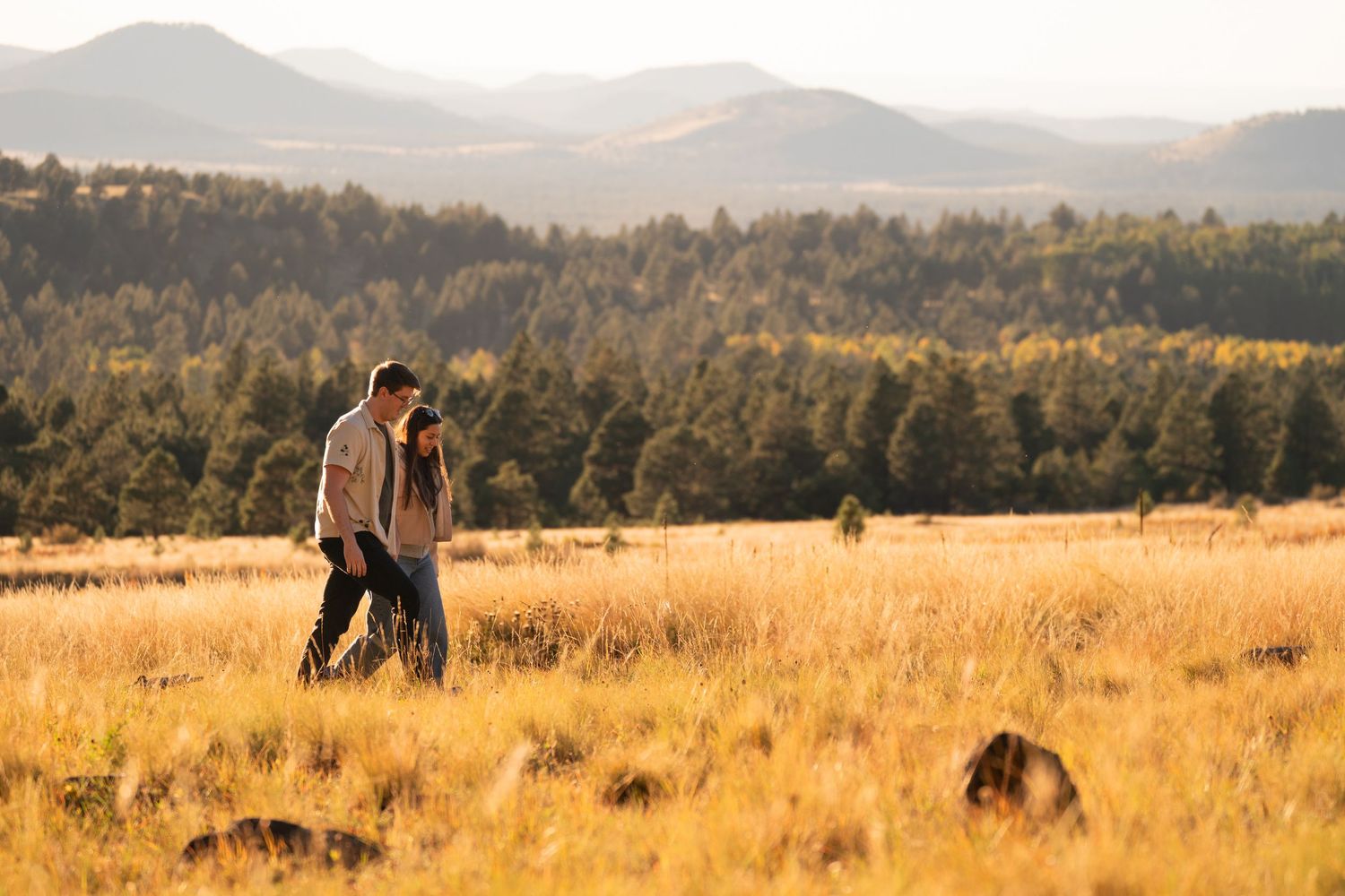 Couple embracing in a golden grass meadow with pine forest and rolling mountains in the background at sunset.